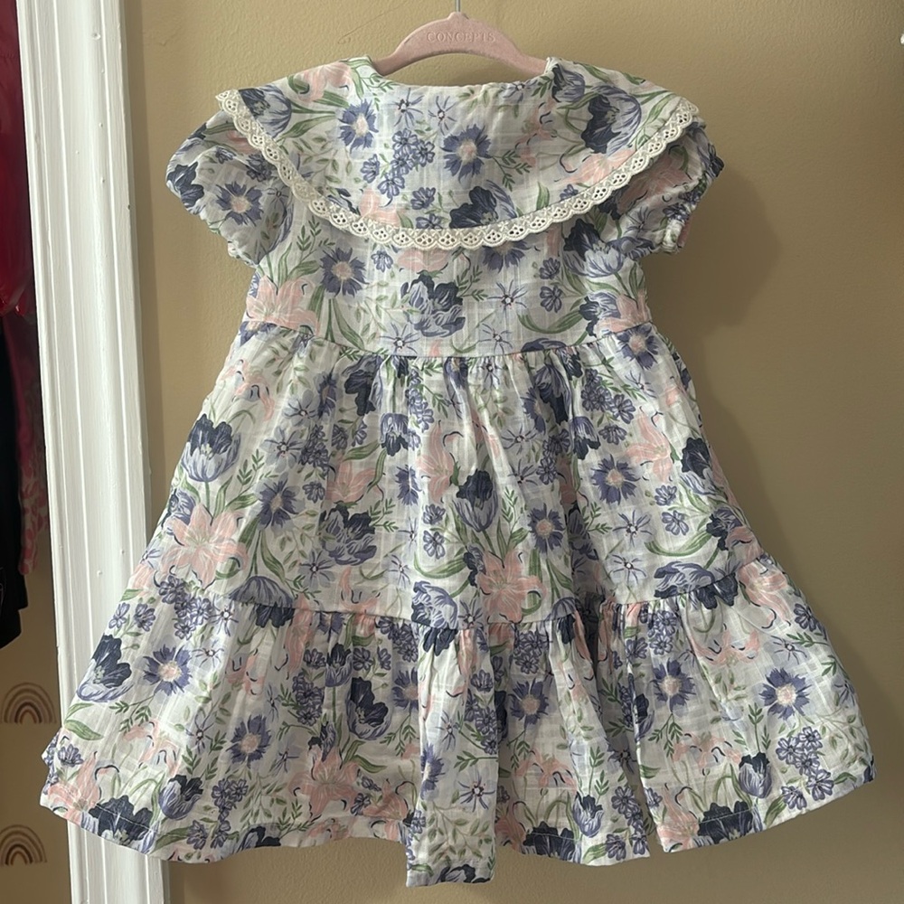 12m baby girl dress (WORE ONCE)